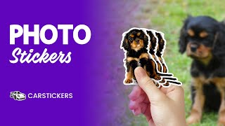 Picture Perfect: Transform Your Favorite Photos Into Stickers!