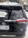 Mimi's review of Virginia Cavaliers NCAA Logo Sticker