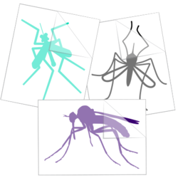 Mosquito Stickers