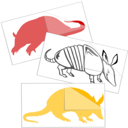 Armadillo Stickers