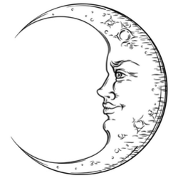 Antique Art Crescent Moon Boho Sticker