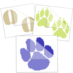 Paw Print Stickers