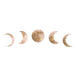 Beige And Gold Moon Phases Sticker