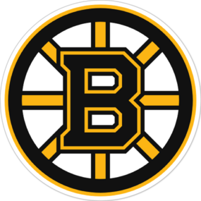 Boston Bruins NHL Logo Sticker