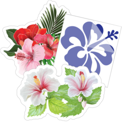 Hibiscus Flower Stickers