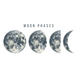 Moon Phases Illustration Sticker