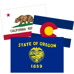 US State Flag Stickers